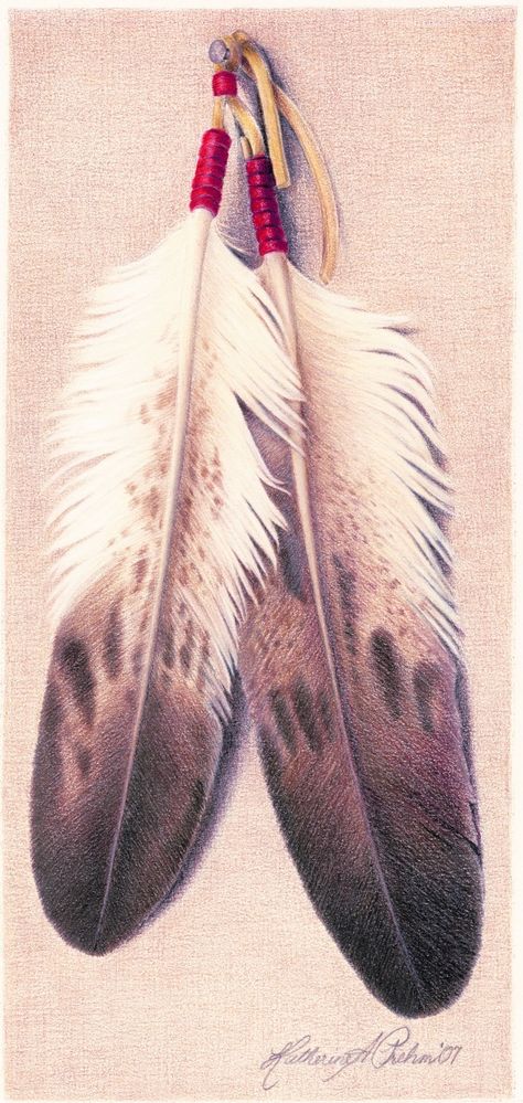 eagle feathers Red Indian Feather Tattoo, Golden Eagle Feather Tattoo, Bald Eagle Feather Tattoo, Eagle Feather Tattoo Design, Golden Eagle Feather, Eagle Feather Tattoo, Bald Eagle Feather, Native American Feather Tattoo, Native Feathers