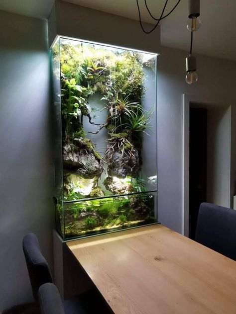 Living wall Outdoor Fish Tank, Aquatic Design, Kolam Air, Wall Aquarium, Amazing Aquariums, Fish Tank Terrarium, Taman Air, Indoor Water Garden, Aquarium Terrarium