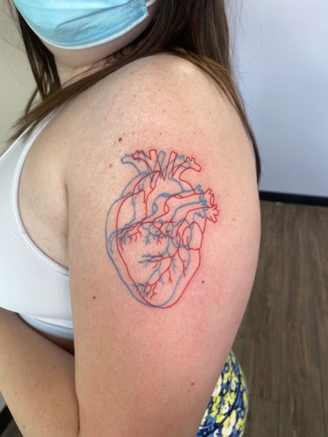 Red And Blue Tattoo, Er Tattoo, Anatomical Heart Tattoos, Thinking Tattoo, Collar Bone Tattoo Quotes, Human Heart Tattoo, Realistic Heart Tattoo, Anatomical Tattoos, Anatomy Tattoo