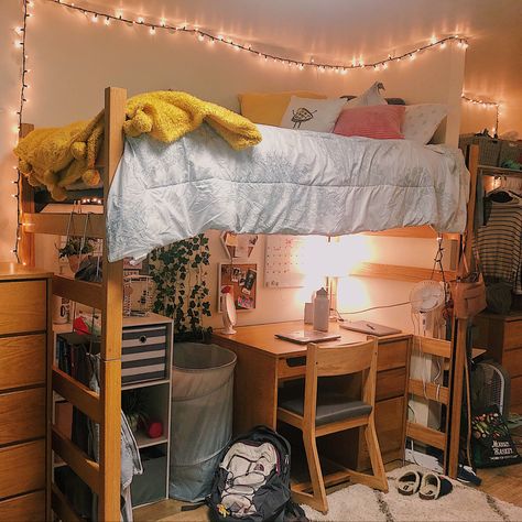 College Loft Dorm Room Ideas, Loft Dorm Bed Ideas, Lofting Beds In Dorm Room, Loft Bed Cozy, Dorm Lofted Bed Ideas, College Dorm Two Beds, Loft Bed College, Diy College Dorm Decor, Dorm Loft Bed Ideas Layout