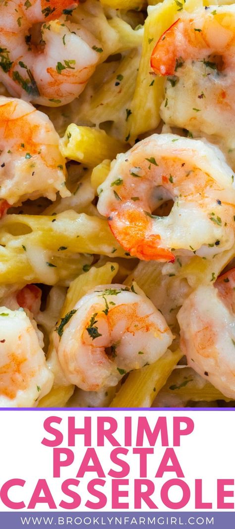 Shrimp Pasta Dishes Recipes, Recipes With Large Shrimp, Pescatarian One Pot Meals, Shrimp And Macaroni, One Pan Shrimp Pasta, Recipes Using Campbells Cream Of Shrimp Soup, Shrimp Pasta Casserole Recipes, Casseroles With Shrimp, Shrimp And Egg Noodles Recipes