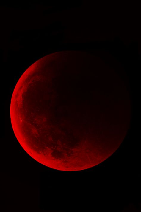 laurieaaaa: “ L ” Red Moon, Lunar Eclipse, In The Dark, Moon, Red