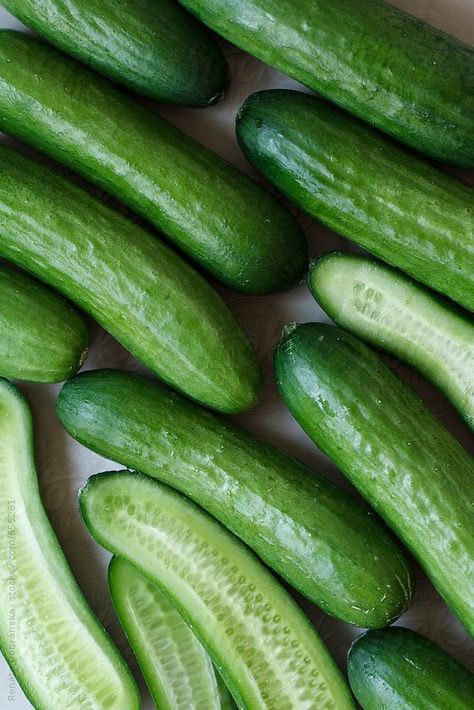 Fruits And Vegetables Pictures, Cucumber Canning, Vegetables Photography, Vegetable Pictures, Fruit Photography, Green Juice, Fruit And Veg, Fresh Vegetables, Fresh Produce