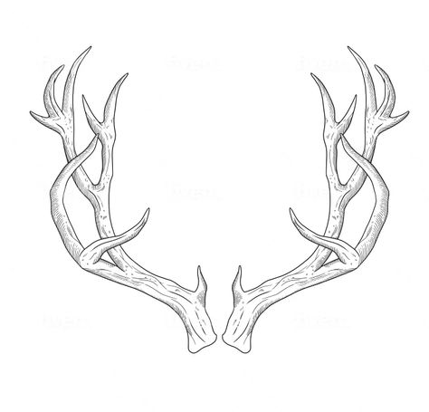 Antlers Tattoo Design, Stag Antlers Drawing, Reindeer Antlers Tattoo, Deer Tattoo Outline, Deer Antler Tattoo Design, Antler Outline Tattoo, Antler Hand Tattoo, Stag Horns Tattoo, Elk Antlers Tattoo