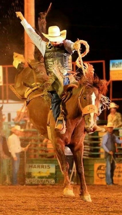 Saddle Bronc Riding, Camargue Horse, Saddle Bronc, Cowboy Action Shooting, Bronc Riding, Rodeo Time, Rodeo Cowboys, Real Cowboys, Bucking Bronco