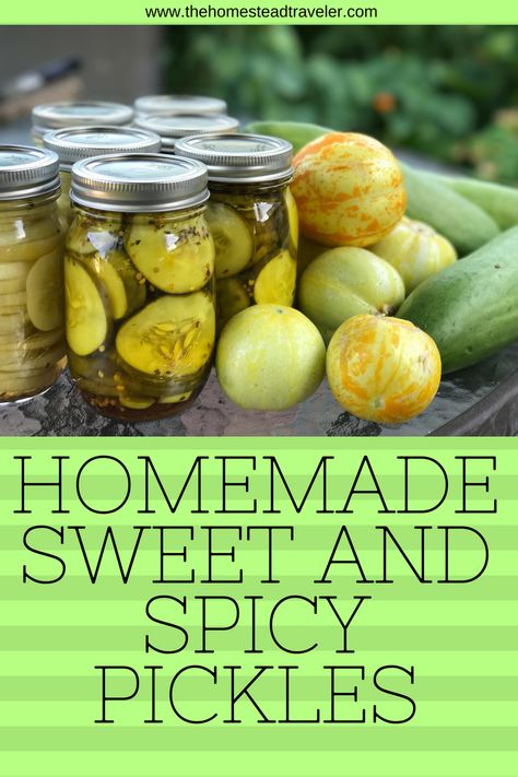 Sweet and Spicy Pickles Sweet And Spicy Pickles, Spicy Pickle Recipes, Chocolate Scones, Spicy Pickles, Pickling Salt, Peanut Dipping Sauces, Lemon Cucumber, Beef Salad, Sweet Heat