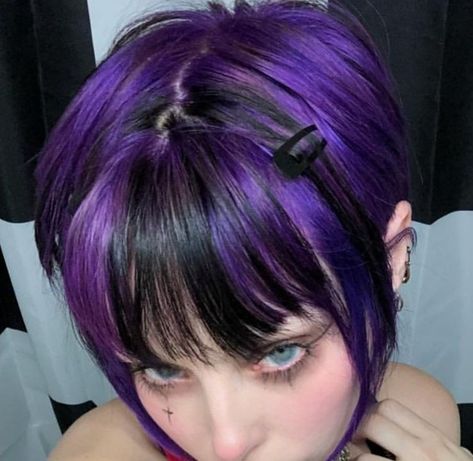 Unique Mid Length Hairstyles, Purple And Black Hair Aesthetic, Black And Colored Hair Short, Violet Dyed Hair, Hair Dye Section Ideas, Violet Hair Aesthetic, Violet And Black Hair, Purple Alt Hair, Hair Color Ideas Violet