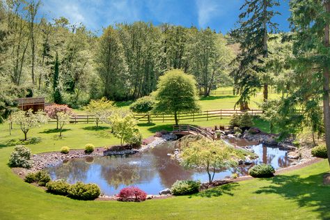 Pastures and ponds, perfect. Natural Pond Landscaping, Farm Pond, Building A Pond, Natural Swimming Ponds, Fountains Backyard, Pond Ideas, Pond Landscaping, Swimming Pond, Backyard Water Feature