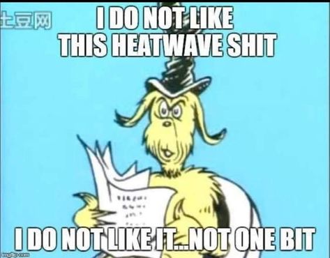 Hot Weather Humor Hilarious The Heat, Weather Humor, Hot Weather Humor, Hate Summer, Weather Memes, Weather Quotes, Summer Funny, Everything Funny, Life Memes