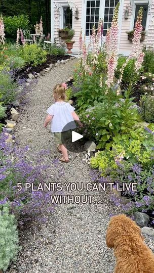 95K views · 9.9K reactions | Perennials come back year after year! 
Five of my absolute favorites are:
~Vision Light Pink Hardy Geraniums 
~Lady’s Mantle 
~Silver Mound
~Nepeta Walker’s Low
~Real Charmer Daisies 
~Bonus: Foxgloves Apricot Beauty (technically a biennial but they tend to self seed and pop up every year)

You should give these beautiful plants a try in your cottage gardens! I am in zone 5a for reference 💗🌸
•
•
•
#perennials #flowers #cottagegarden #cottagegardenlove #mycottage #mycottagegarden #englishcottagegarden #cottagegardening #cottagegardensamplings #gardensofinstagram #courtyardgarden #perennialgardens #gardenanswer #countrygardens #gardengatemagazine #thecottagejournal #gardeninspiration #unbelievablegardens #cottagesandbungalows #homeandgarden #thehappygardeningli Clark Cottage Garden, Silver Mound, Perennials Flowers, Border Flowers, Front Flower Beds, Hardy Geranium, Garden Border, Cottages And Bungalows, Garden Idea