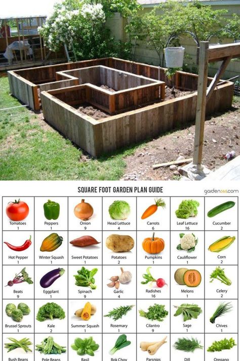 Cheap And Easy Raised Garden Beds, Raised Garden Boxes Layout, Raised U Shape Garden Bed, Vege Garden Design Raised Beds, Veg Garden Layout Raised Beds, Raised Planting Beds, Risen Garden Beds, How To Build A Raised Bed, Types Of Raised Garden Beds