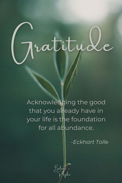 Eckhart Tolle Quotes, Grateful Quotes, Inspiration Quote, Inspirational Quotes God, Van Dijk, Attitude Of Gratitude, Gratitude Quotes, Daily Inspiration Quotes, Mindfulness Meditation