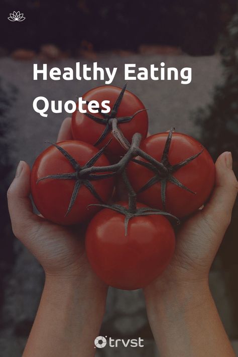 "Healthy Eating Quotes"- Eating offers many benefits we don’t think of. Socially, we gather and build bonds over meals. Aesthetically, we find pleasure in dining and expert plating. But above these benefits, there’s the primary reason for eating; to promote good health. Our selection of healthy eating quotes is set to inspire... #trvst #quotes #mind&body #food #health #wellbeing #wellness #healthy #healthyeating #healthyfood #healthyliving #healthylife #togetherwecan Healthy Changes Quotes, Healthy Meal Quotes, Quotes On Healthy Lifestyle, Eat Healthy Quotes Aesthetic, Healthy Inspirational Quotes, Clean Eating Quotes, Diet Inspiration Quotes, Good People Quotes, Healthy Food Quotes