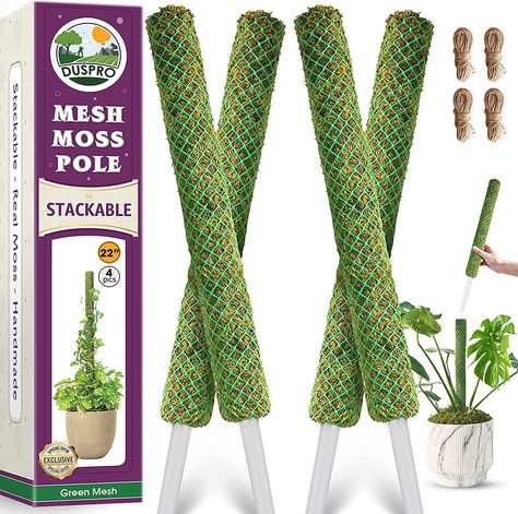 DUSPRO Mesh moss pole is the first ever stackable plants pole made of real moss. With the combination with premium plastic mesh, its unique design brings a modern & aesthetic look to your home and garden. When the plant outgrows the moss pole, simply add another poles to provide extra support. This process only takes a minute and you can stack up to 4 net poles with 71" tall. Despite its height, Duspro monstera moss pole still remains sturdy and offers strong support that won't lean. Monstera Trellis, Plant Pole, Bamboo Stakes, Moss Pole, Terrarium Ideas, Plant Stakes, Plastic Mesh, Money Plant, Climbing Vines