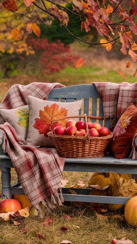 Make your Thanksgiving memorable with creative fall outdoor decor ideas. Set the perfect outdoor scene for family gatherings and festive celebrations. Fall Backgrounds Iphone, Autumn Magic, Autumn Scenes, Fall Outdoor Decor, Autumn Scenery, Fall Outdoor, Autumn Beauty, Fall Pictures, Autumn Cozy