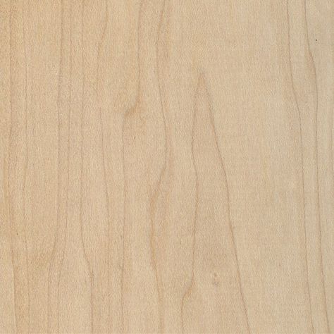 Hard Maple (Acer saccharum) Lily Ann Cabinets, Hardwood Lumber, Cabinet Boxes, Different Types Of Wood, Blackened Steel, Types Of Cabinets, Brass Wood, Maple Hardwood, Wooden Cabinets