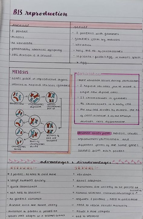 Reproduction Biology Notes, Reproduction Notes Biology, Aqa Biology Gcse, Class 10 Reproduction Notes, Biology Notes Reproduction, Gcse Aqa Biology Revision Notes, Reproduction In Animals Notes, Biology Reproduction Notes, Class 10 Science Notes Biology Reproduction