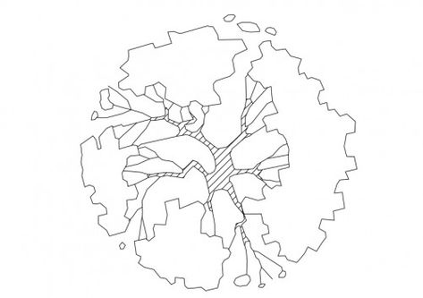 TREE TOP VIEW | FREE CADS Architecture Tree Sketch, Tree Floor Plan, Tree Top View Architecture, Tree Top View Png, Tree Dwg, Tree Plan Photoshop, Tree Plan Png, Tree Render, Architectural Trees