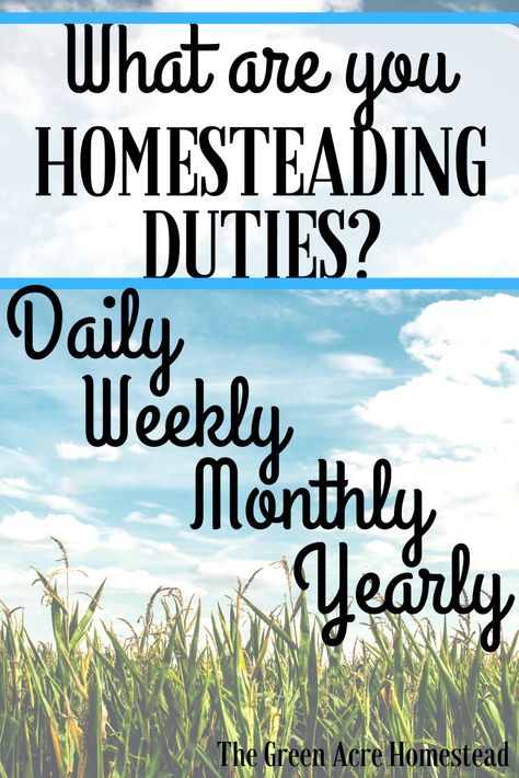 Daily, weekly, monthly and yearly homesteading duties and what they should be. This is a great guide for beginner homesteaders to find their footing #homesteading #homesteadingforbeginners #howtohomestead #backyardhomesteading #smallfarming #diy #doityourself Homestead Yearly Calendar, Homestead Schedule Daily, Homestead Calendar, Homestead To Do List, Homestead Schedule, Monthly Chores, Daily Chore List, Homesteading For Beginners, Interesting Plants