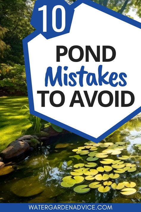 pond building mistakes Garden Ponds Ideas, Pond Building, Ponds Ideas, Fish Ponds Backyard, Diy Ponds Backyard, Small Water Gardens, Indoor Pond, Pond Construction, Fish Pond Gardens