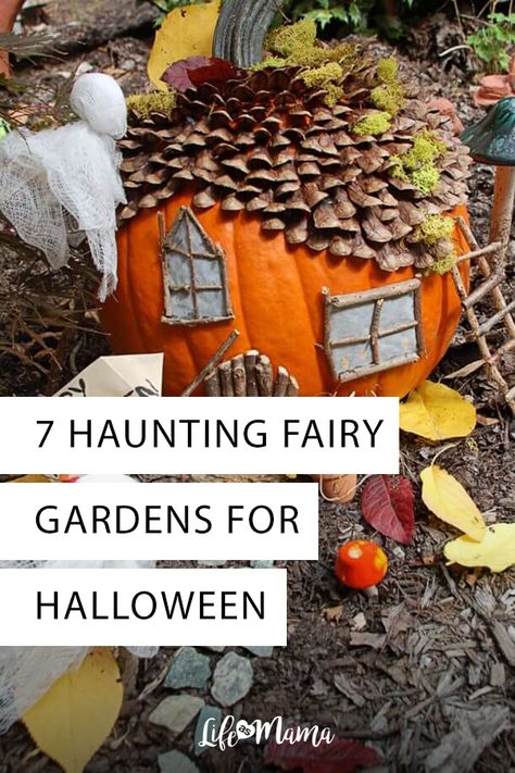 7 Hauntingly Cool Halloween Fairy Gardens | #halloween #fall #gardening #garden Haunted Fairy House, Fairy Garden Trunk Or Treat, Fairy Garden Pumpkin Ideas, Halloween Fairy Garden Ideas, Fall Fairy Garden Ideas, Fairy Pumpkin, Fall Fairy Garden, Fairy House Pumpkin Ideas, Fairy Halloween