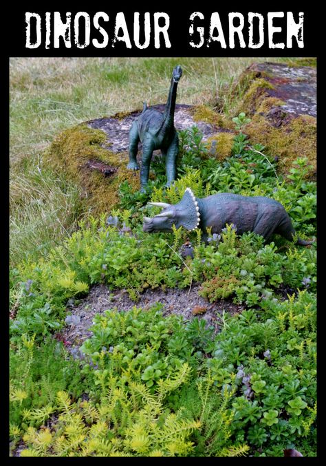 How to make your own "dinosaur garden" for outdoor imaginary play this summer.  Post includes list of materials and helpful tips for creating your own! FUN AT HOME WITH KIDS Outdoor Playscapes, Dinosaur Garden, Outdoor Play Spaces, Play Garden, Faeries Gardens, Children's Garden, Natural Playground, School Garden, A Dinosaur