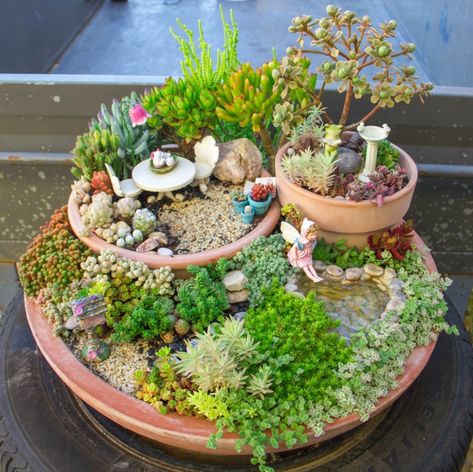 Succulent Fairy Garden, Fairy Garden Design Ideas, Small Flower Gardens, Fairy Garden Pots, Diy Fairy Garden, Fairy Garden Plants, Succulent Garden Design, Fairy Garden Designs, Fairy Garden Crafts