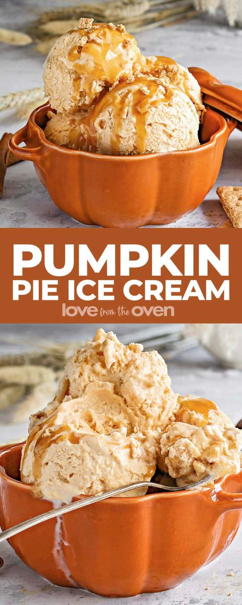 Pumpkin Ice Cream Recipe, Pumpkin Spice Ice Cream, Ice Cream Pie Recipe, Weight Watcher Desserts, Easy Homemade Ice Cream, Pumpkin Pie Ice Cream, Pie Ice Cream, Pumpkin Cookie Recipe, Pumpkin Ice Cream