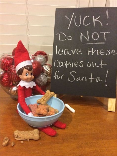 Elf On The Shelves, Elf Ideas Easy, Bad Elf, Shelf Elf, Awesome Elf On The Shelf Ideas, Elf Magic, Elf Activities, Xmas Elf, Elf Antics