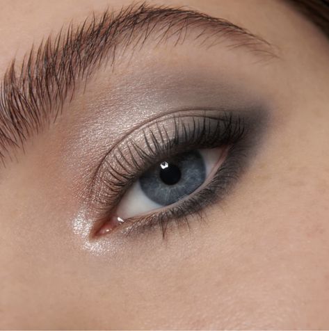 Taupe Eye Makeup, Silver Eyeshadow Looks, Luxury Eyeshadow Palette, Lisa Eldridge Makeup, Luxury Eyeshadow, Neutral Makeup Look, Grey Eye Makeup, Taupe Eyeshadow, Silver Eye Makeup