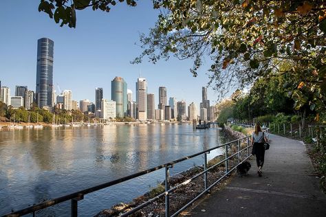 Kangaroo Point River Walk Or Cycle | Must Do Brisbane Kangaroo Point Brisbane, Brisbane River, Random Photography, River Life, Magical Life, South Bank, River Walk, Cool Cafe, Forest Park