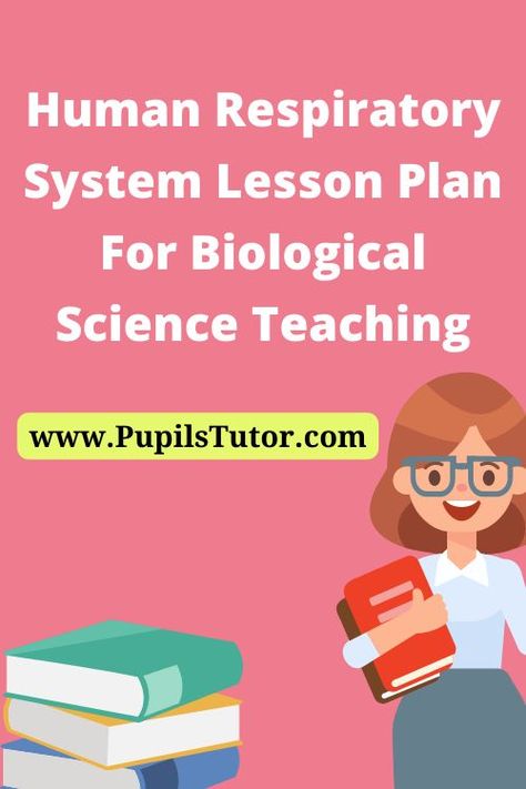 Science Human Respiratory System Lesson Plan For B.Ed/DELED And School Teachers in English Medium for First Year, Second Year, 1st 2nd 3rd 4th 5th 6th Semester Free Download PDF,PPT, Assignment , File - pupilstutor.com  #lessonplan #bedlessonplan #sciencelessonplan Human Body Biology, Biology Lesson Plans, Human Respiratory System, Digital Lesson Plans, Biological Science, Lesson Plan Pdf, Lesson Plan Format, Lesson Plan Examples, Teaching Plan