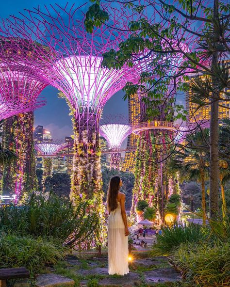 Supertree Grove Singapore, Singapore Travel Aesthetic, Singapore Aesthetic Outfit, Singapore Instagrammable, Singapore Instagram Photos, Singapura Aesthetic, Singapore Photo Ideas, Aesthetic Singapore, Singapore Aesthetic