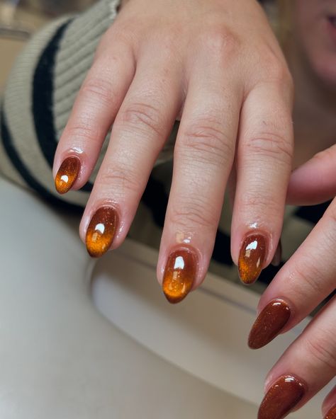 Pumpkin spice nails🤤😋 . Using @kokoistusa Marrone brown glass🤎 . #nailthoughts #kokoist #kokoistusa #cateye #fallnails #virginia Spice Nails, Pumpkin Spice Nails, Glass Nail, Glass Nails, Brown Nails, Pumpkin Spice, Virginia, Nail Art, Nails