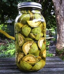 Black Walnuts Recipes, Goat Milk Recipes, Liquor Recipes, Homebrew Recipes, Walnut Recipes, Liqueurs Recipes, Fermentation Recipes, Homemade Wine, Fermented Drink