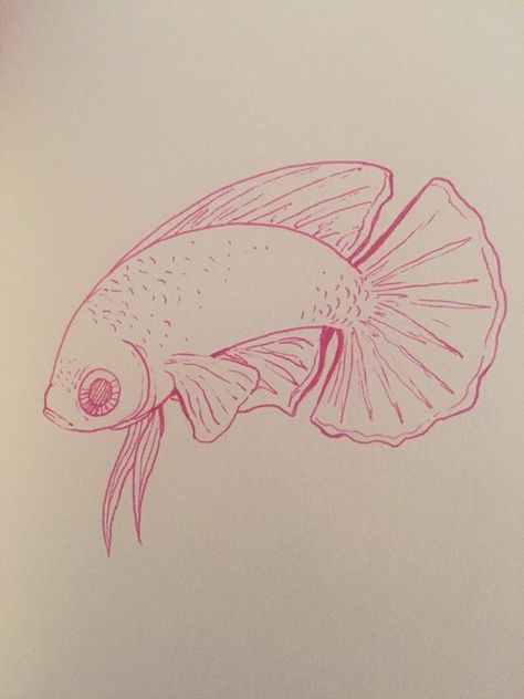 Betta Drawing, Beta Fish Drawing Step By Step, Cute Betta Fish Drawing, Drawing Betta Fish, Betta Fish Art Drawing, Betta Fish Drawing, Beta Fish Drawing, Watercolor Betta Fish, Betta Fish Drawing Colored Pencil