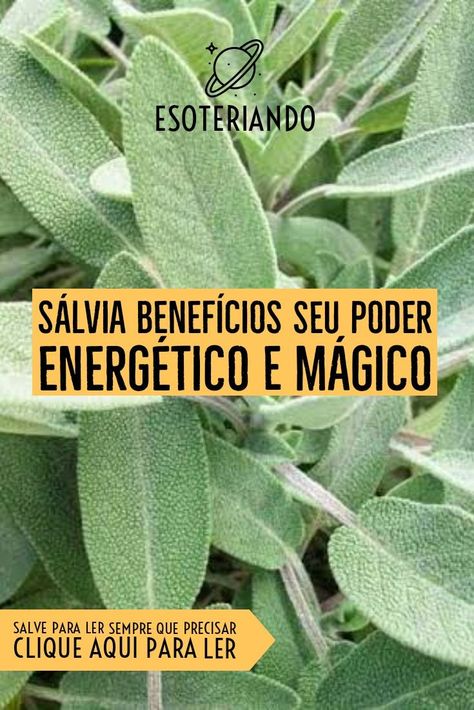 Salvia Officinalis, Magia Das Ervas, Easy Landscaping, Front Yard Garden, Vegan Life, Garden Inspiration, Home Remedies, Reiki, Front Yard