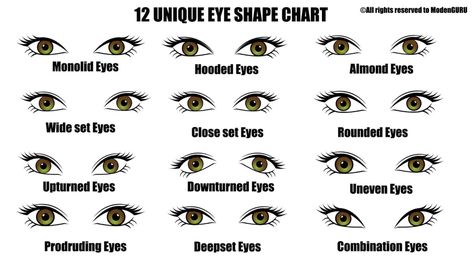 Different Eye Shapes, Different Types Of Eyes, Type Chart, Eye Color Chart, Male Hairstyles, Indian Eyes, Windows To The Soul, Eye Expressions, Eyes Game