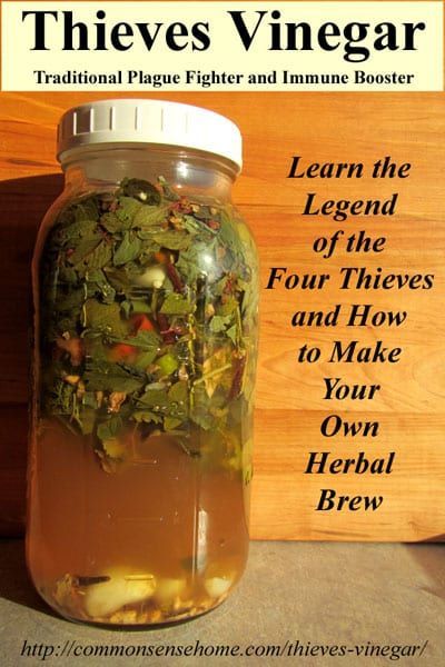 Antibacterial Herbs, Boost Immunity, The Plague, Herbal Healing, Holistic Remedies, Samos, Healing Herbs, Natural Health Remedies, Medicinal Herbs