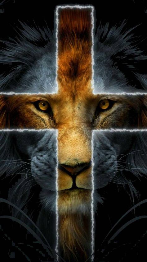 Jesus Lion Wallpaper, Lion Live Wallpaper, Lion Of Judah Jesus, Cross Wallpaper, Lion And Lamb, Lion Wallpaper, Tribe Of Judah, Lion Images, Prophetic Art