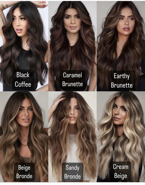 Painted Highlights Brunette, Dark Brown Summer Hair Color, Dark Brown Hair With Caramel Highlights Balayage Long Layered, Earthy Brunette Balayage, Black Hair With Caramel Balayage, Multitonal Blonde, Earthy Brunette Hair, Beige Balayage On Dark Hair, Haircolor 2024 Women