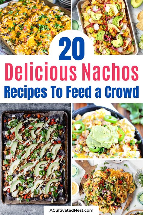 Different Types Of Nachos, Home Made Nachos, Basic Nachos Recipe, Best Nacho Recipe, Nachos Recipes, Nachos Cheese Recipe, Easy Nachos, Homemade Nachos, Nachos Recipe Easy