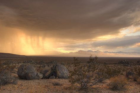 Storm Cell at Sunset by sandy.redding, via Flickr Ridgecrest California, California Towns, Desert Aesthetic, Storm Photography, Mojave Desert, Cloud Wallpaper, Rain Clouds, Desert Landscape, Cool Landscapes