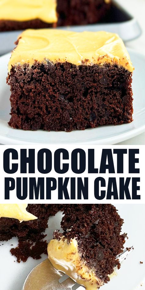 Easy CHOCOLATE PUMPKIN CAKE recipe with spiced pumpkin cream cheese frosting, homemade from scratch with simple ingredients. This sheet cake is soft, moist and full of warm spices and chocolate chips. From CakeWhiz. Chocolate Pumpkin Cake Recipe, Chocolate Cake With Pumpkin Puree, Pumpkin Chocolate Cake Recipe, Pumpkin Crazy Cake, Pumpkin Chocolate Cake, Chocolate Pumpkin Cake, Quick Cookies Recipes, Pumpkin Sheet Cake, Pumpkin Cake Recipes