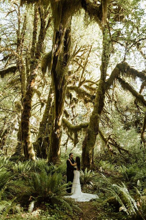 Couple standing in mossy forrest Wedding In Washington State, Washington Coast Wedding, Washington Forest Wedding, Washington Wedding Venues Outdoor, Pnw Wedding Decor, Washington State Wedding, Pnw Elopement, Washington Elopement, Washington Wedding