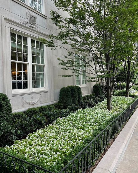 Sore Knee, Spring Landscapes, Boost Curb Appeal, Front Landscaping, Bon Weekend, White Garden, Front Entrances, White Gardens, Upper East Side