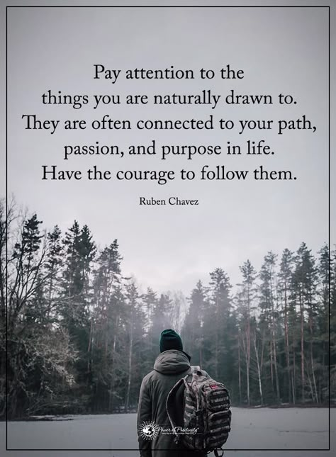 Path Quotes, Purpose Quotes, Life Path, Nature Quotes, Life Purpose, A Quote, Wise Quotes, Meaningful Quotes, Great Quotes