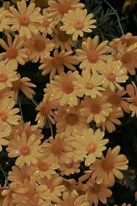 Honeycore Aesthetic, Soft Foto, Kidcore Wallpaper, Sparkly Iphone Wallpaper, Aesthetic Scrapbook, Yellow Aesthetic Pastel, Yellow Glitter, Daisy Girl, Glitter Flowers