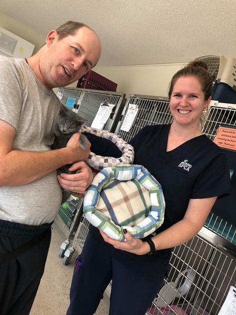 Many of you asked for a pattern so that more of you could make a donate these cat beds to our centres. The pattern is officially here. Time to get sewing! Easy Dog Bed Sewing Pattern, Homemade Cat Beds Diy, Homemade Cat Beds, Puppies Stuff, Pet Bed Pattern, Cat Bed Pattern, Charity Sewing, Diy Cat Bed, Kat Diy