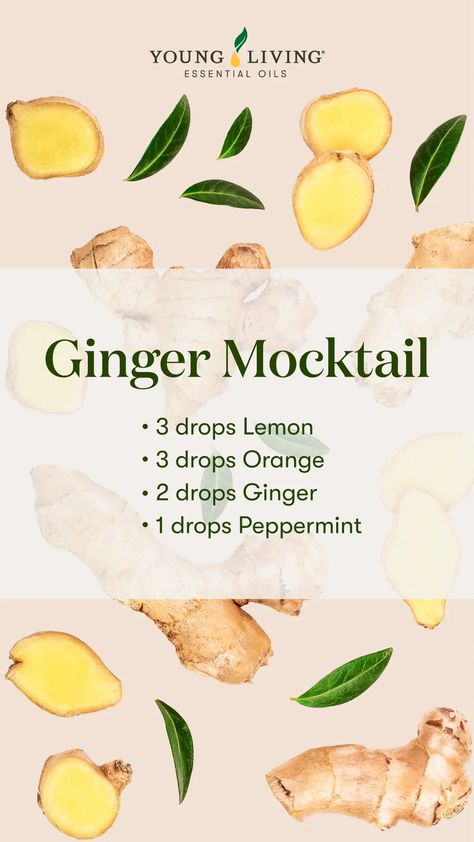 Ginger essential oil: The spice of life | Young Living Blog Sweet Meatballs, Nutmeg Essential Oil, Essential Oil Diffuser Blends Recipes, Sesame Ginger, Ginger Essential Oil, Ginger Oil, Oil Diffuser Recipes, Essential Oil Blends Recipes, Essential Oil Benefits